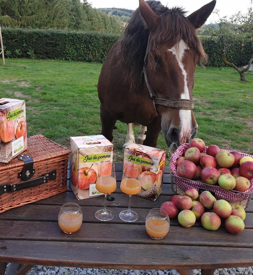 Au Fer A Cheval Hotel Gandelain Luaran gambar